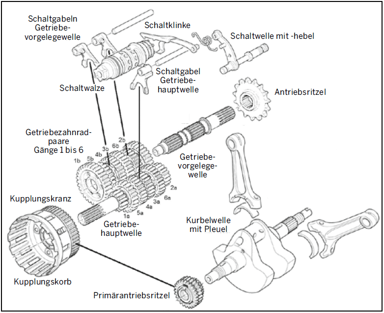 Schaltklauengetriebe Grafik