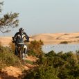 Triumph Tiger 900