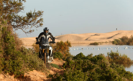 Triumph Tiger 900