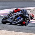 Mulhauser 2022