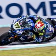 Aegerter Indonesien